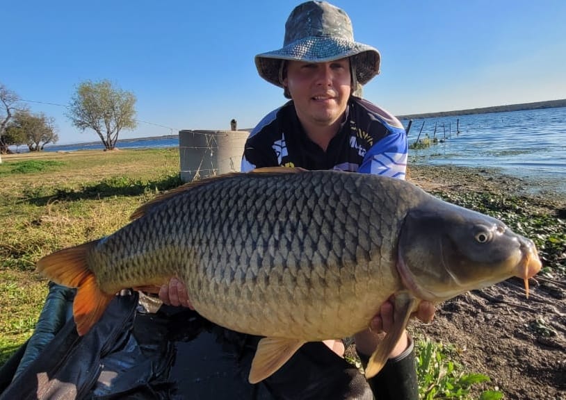 bssblocks image placeholder